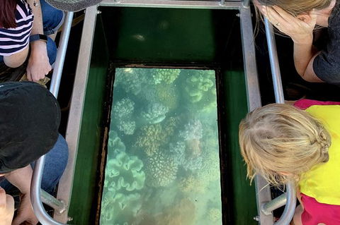 Airlie Beach Glass Bottom Boat Tour - Accommodation Kalgoorlie 10