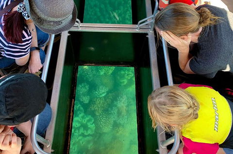 Airlie Beach Glass Bottom Boat Tour - Accommodation Kalgoorlie 11