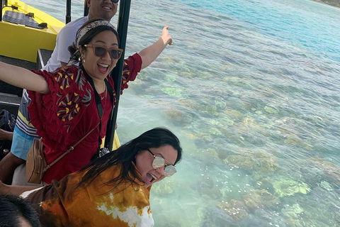 Airlie Beach Glass Bottom Boat Tour - Accommodation Kalgoorlie 6