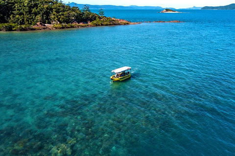 Airlie Beach Glass Bottom Boat Tour - Accommodation Kalgoorlie 8