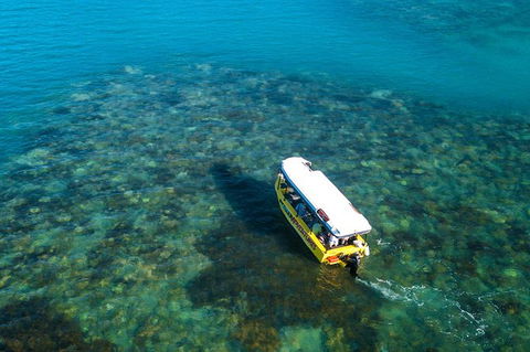 Airlie Beach Glass Bottom Boat Tour - Accommodation Kalgoorlie 9