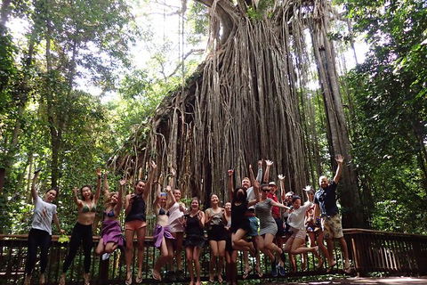 Atherton Tablelands Waterfalls Tour From Cairns - Accommodation Kalgoorlie 8