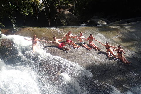 Atherton Tablelands Waterfalls Tour From Cairns - Accommodation Kalgoorlie 4