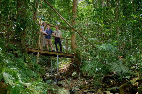 Daintree And Cape Tribulation Tour From Cairns - Accommodation Kalgoorlie 3