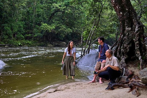Daintree And Cape Tribulation Tour From Cairns - Accommodation Kalgoorlie 2