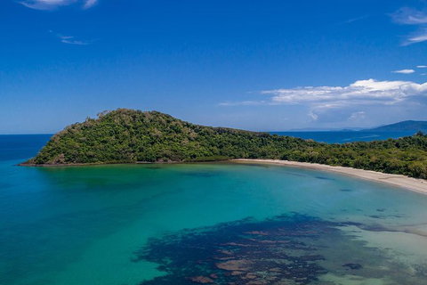 Daintree And Cape Tribulation Tour From Cairns - Accommodation Kalgoorlie 7