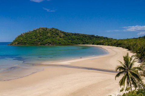 Daintree And Cape Tribulation Tour From Cairns - Accommodation Kalgoorlie 8