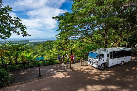 Daintree And Cape Tribulation Tour From Cairns - Accommodation Kalgoorlie 5