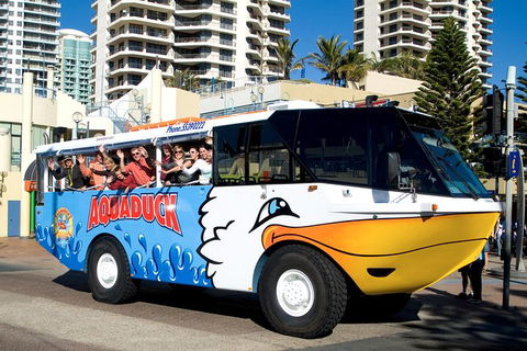 Aquaduck Gold Coast 1 Hour City And River Tour - Accommodation Kalgoorlie 5