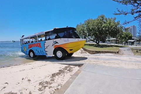 Aquaduck Gold Coast 1 Hour City And River Tour - Accommodation Kalgoorlie 1
