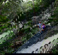 4-Day Cairns with Great Barrier Reef and Daintree Rainforest - Accommodation Kalgoorlie
