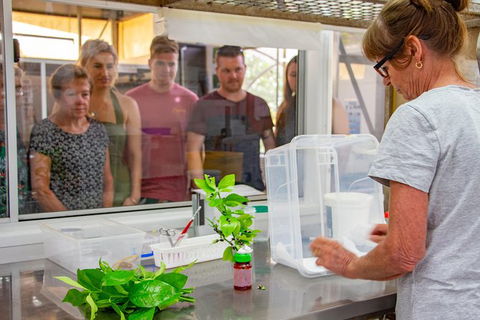 Australian Butterfly Sanctuary - Accommodation Kalgoorlie 6