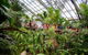 Australian Butterfly Sanctuary - thumb 4