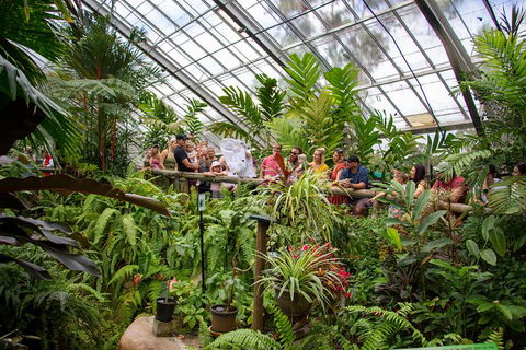 Australian Butterfly Sanctuary - Accommodation Kalgoorlie 4