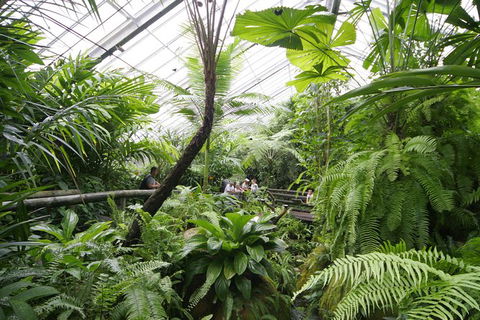 Australian Butterfly Sanctuary - Accommodation Kalgoorlie 1