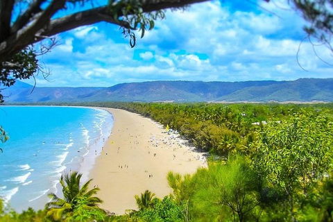 Airport Transfer - Port Douglas To Cairns Airport - Accommodation Kalgoorlie 3