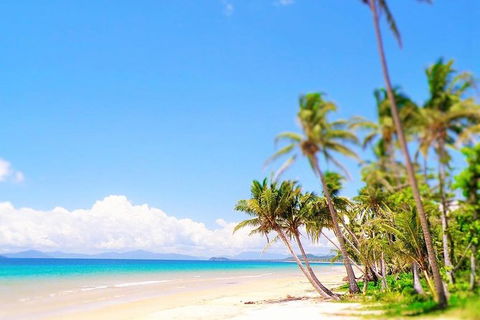 Airport Transfer - Cairns Airport To Mission Beach - Accommodation Kalgoorlie 1