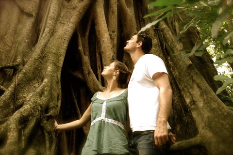 Daintree And Cape Tribulation Full Day Guided Tour - Accommodation Kalgoorlie 0
