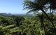 Daintree And Cape Tribulation Full Day Guided Tour - thumb 1