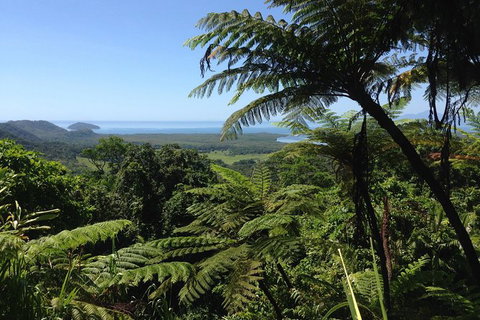 Daintree And Cape Tribulation Full Day Guided Tour - Accommodation Kalgoorlie 1