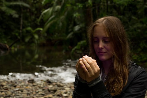 Daintree And Cape Tribulation Full Day Guided Tour - Accommodation Kalgoorlie 4