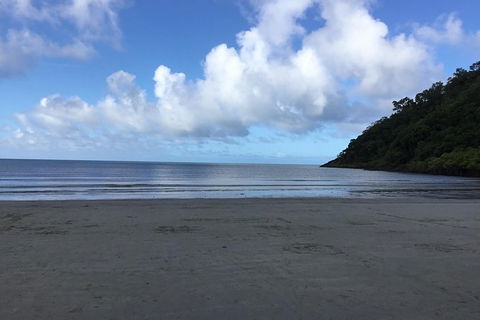 Daintree Luxury Limousine Tour - Full Day - Accommodation Kalgoorlie 6