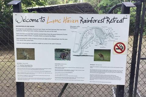 Daintree Luxury Limousine Tour - Full Day - Accommodation Kalgoorlie 2