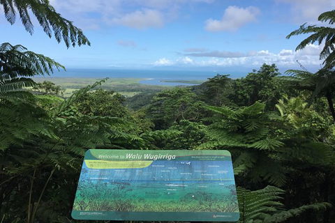 Daintree Luxury Limousine Tour - Full Day - Accommodation Kalgoorlie 0