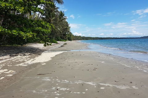 Private Transfers - Cairns Airport To Palm Cove - Accommodation Kalgoorlie 1