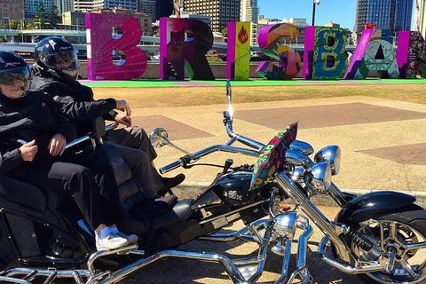 Unique Vehicle Tour Around Brisbane - Accommodation Kalgoorlie 3