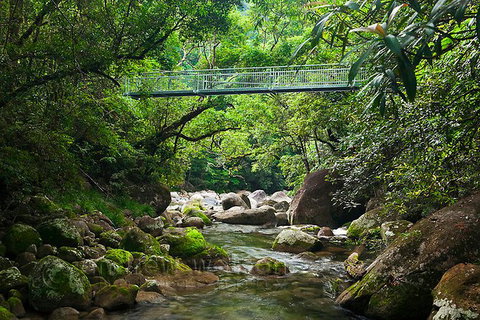 SHUTTLE - Mossman Gorge & Cooya Beach From Port Douglas (Return Transfer) - Accommodation Kalgoorlie 4