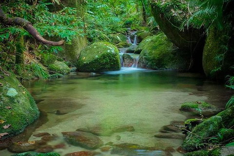 SHUTTLE - Mossman Gorge & Cooya Beach From Port Douglas (Return Transfer) - Accommodation Kalgoorlie 2