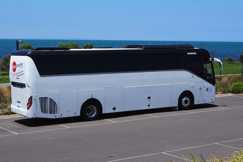 Private 13 Seat Mini Bus Brisbane CBD To Lone Pine Koala Sanctuary Transfer - Accommodation Kalgoorlie 3