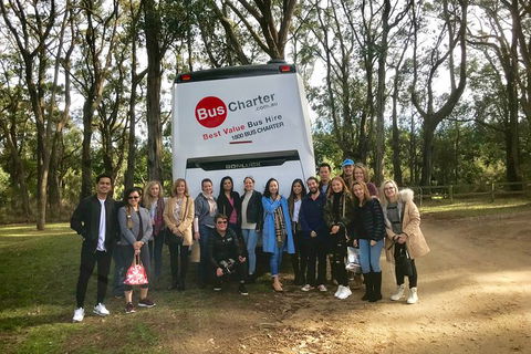 Private 13 Seat Mini Bus Brisbane CBD To Lone Pine Koala Sanctuary Transfer - Accommodation Kalgoorlie 7
