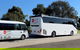 Private 13 Seat Mini Bus Brisbane CBD To Lone Pine Koala Sanctuary Transfer - thumb 2