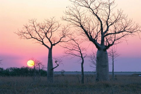 8-Day Outback Experience From Queensland - Accommodation Kalgoorlie 0