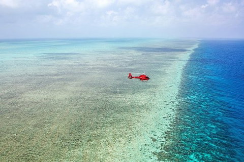 Day Tour To Kuranda, Rainforest And Port Douglas With Flight - Accommodation Kalgoorlie 3