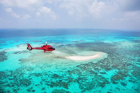 Day Tour To Kuranda, Rainforest And Port Douglas With Flight - Accommodation Kalgoorlie 2