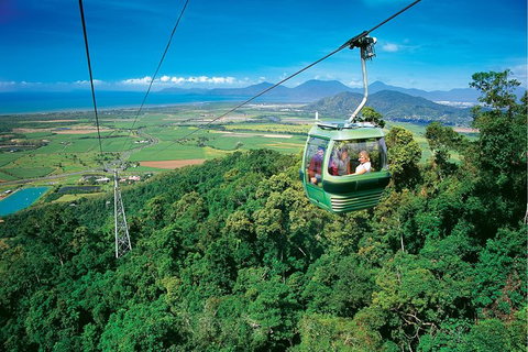 Day Tour To Kuranda, Rainforest And Port Douglas With Flight - Accommodation Kalgoorlie 5