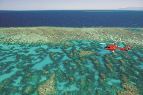 Day Tour To Kuranda, Rainforest And Port Douglas With Flight - Accommodation Kalgoorlie 0