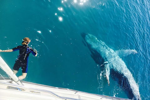 Remote Fraser Island & Whale Experience - Accommodation Kalgoorlie 4