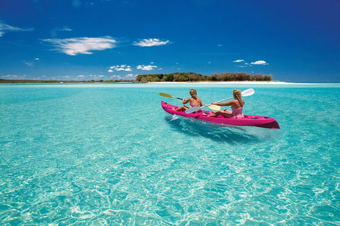 Remote Fraser Island & Whale Experience - Accommodation Kalgoorlie 5