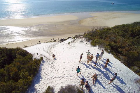 Remote Fraser Island & Whale Experience - Accommodation Kalgoorlie 2