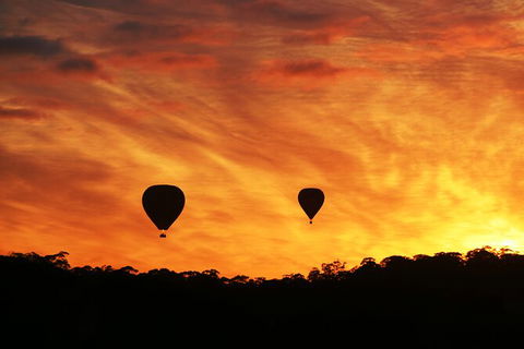 Barossa Valley Hot Air Balloon Ride With Breakfast - Accommodation Kalgoorlie 5