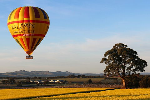 Barossa Valley Hot Air Balloon Ride With Breakfast - Accommodation Kalgoorlie 4
