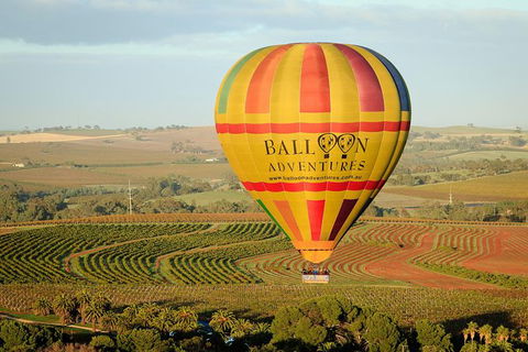 Barossa Valley Hot Air Balloon Ride With Breakfast - Accommodation Kalgoorlie 0