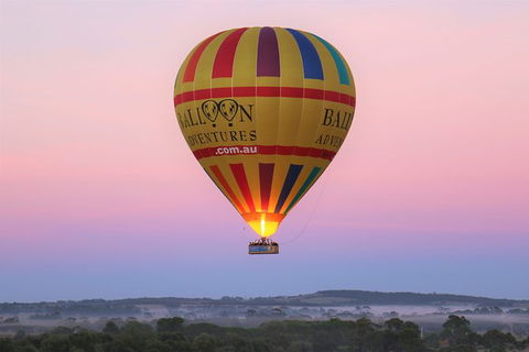 Barossa Valley Hot Air Balloon Ride With Breakfast - Accommodation Kalgoorlie 6