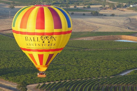 Barossa Valley Hot Air Balloon Ride With Breakfast - Accommodation Kalgoorlie 1