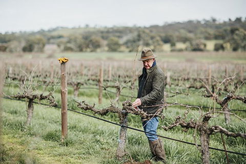 Armagh Vineyard Exclusive Wine Experience And Lunch - Accommodation Kalgoorlie 0