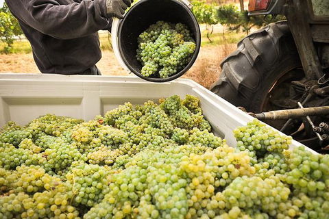 Adelaide Hills Wineries & Hahndorf - Accommodation Kalgoorlie 0